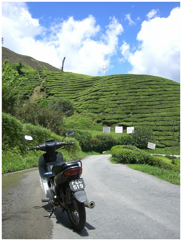 Highlands, Malaysia.JPG